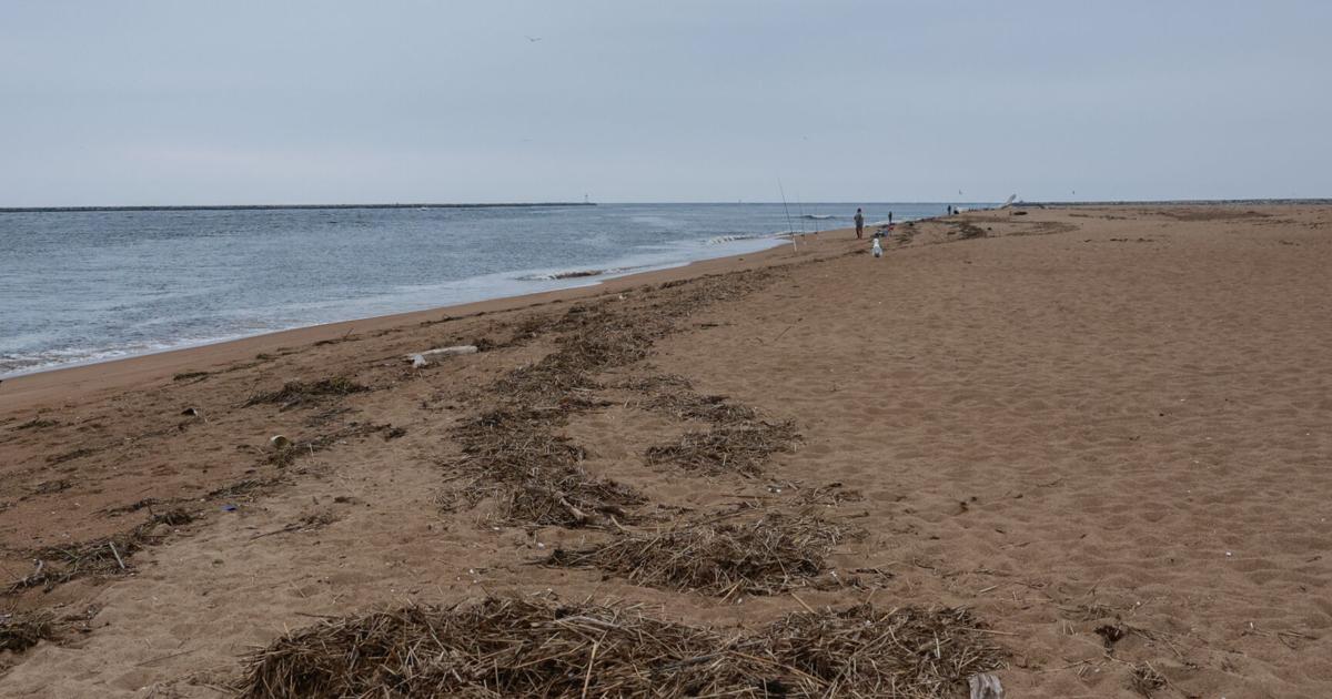 Swimming cleared at Newburyport beaches