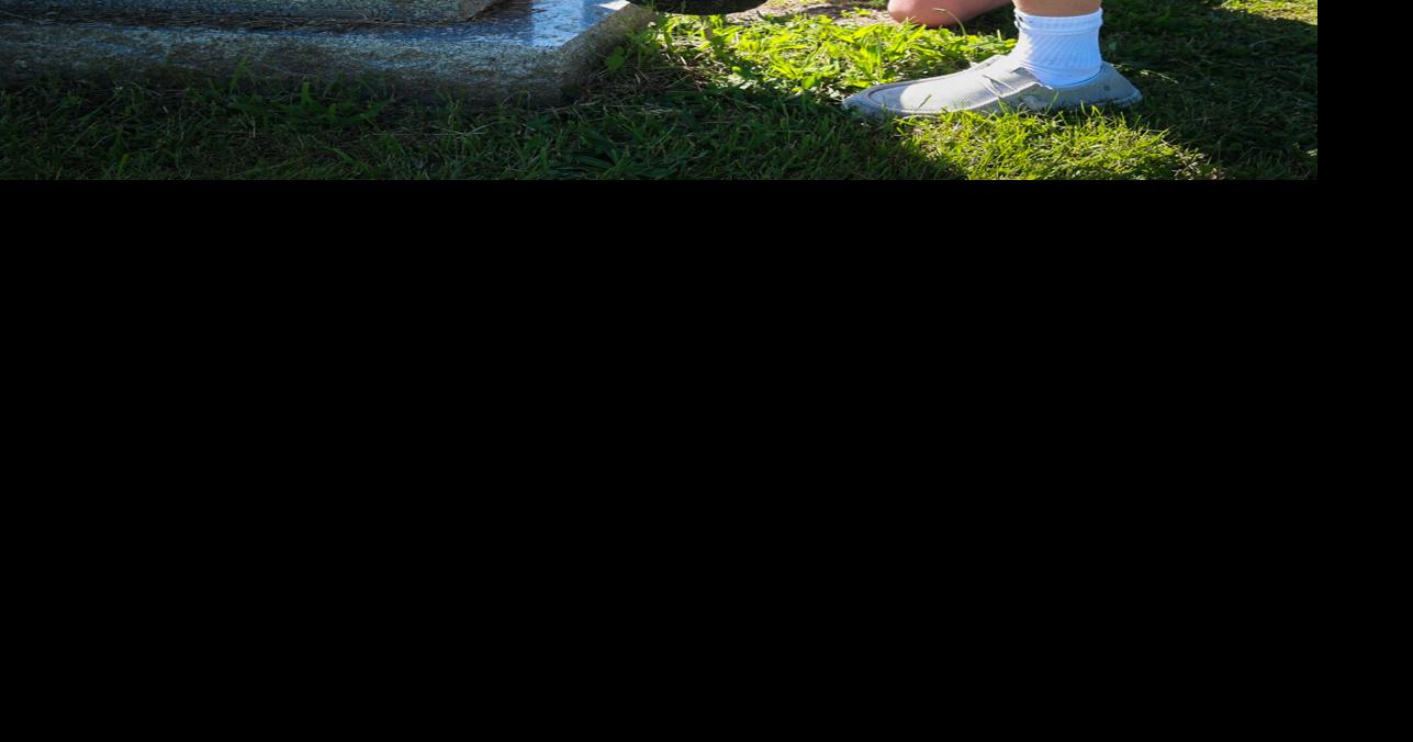 Remembering those who served Photos(01)