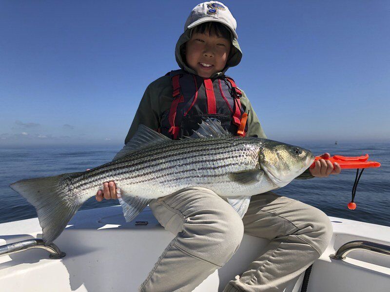 Baiting hooks and reeling in memories