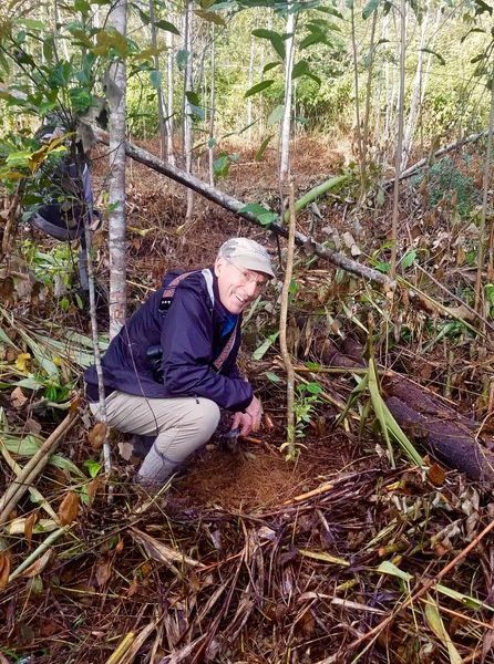Tree Talk: Edible Avenue open for business