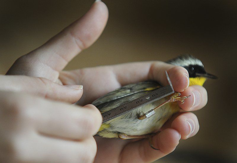 Best Bets: Three events to check out in Greater Newburyport