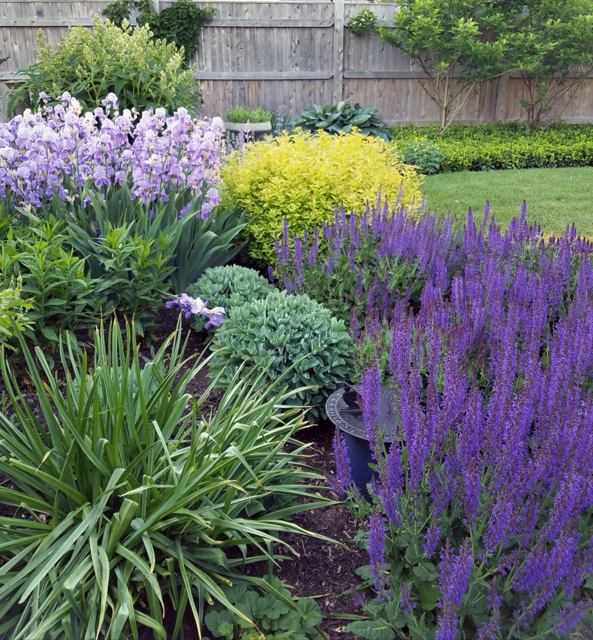 gardens_1.jpg