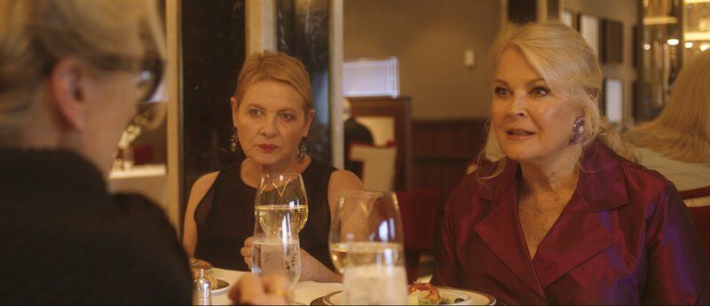Movie review: Streep invites us on a pleasing, meandering ride - Vimarsana News