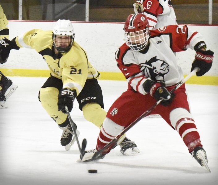 With season cancelled, Amesbury and Whittier hockey players reflect on ...