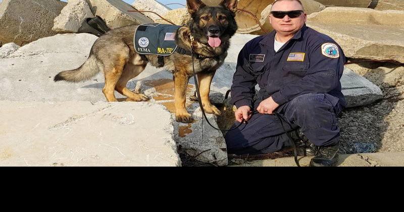 Newburyport firefighter #39 s dog earns FEMA certification Local News