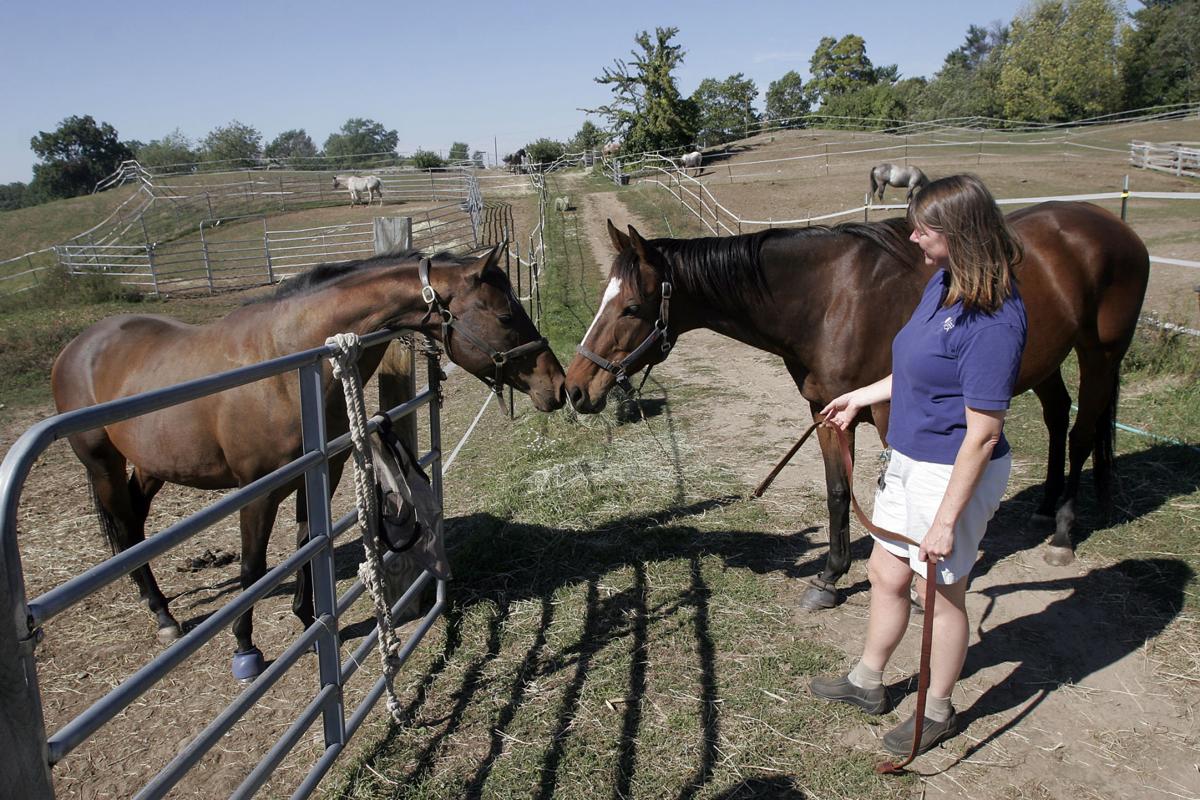 Ride And Walk On Salisbury Beach To Benefit Farm That Rescues