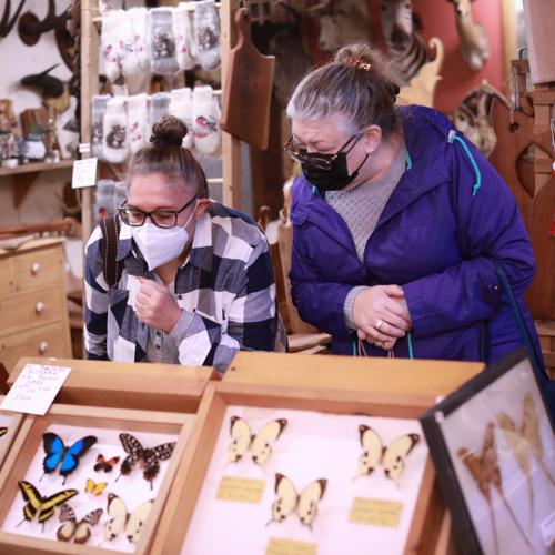 Shoppers check out butterflies