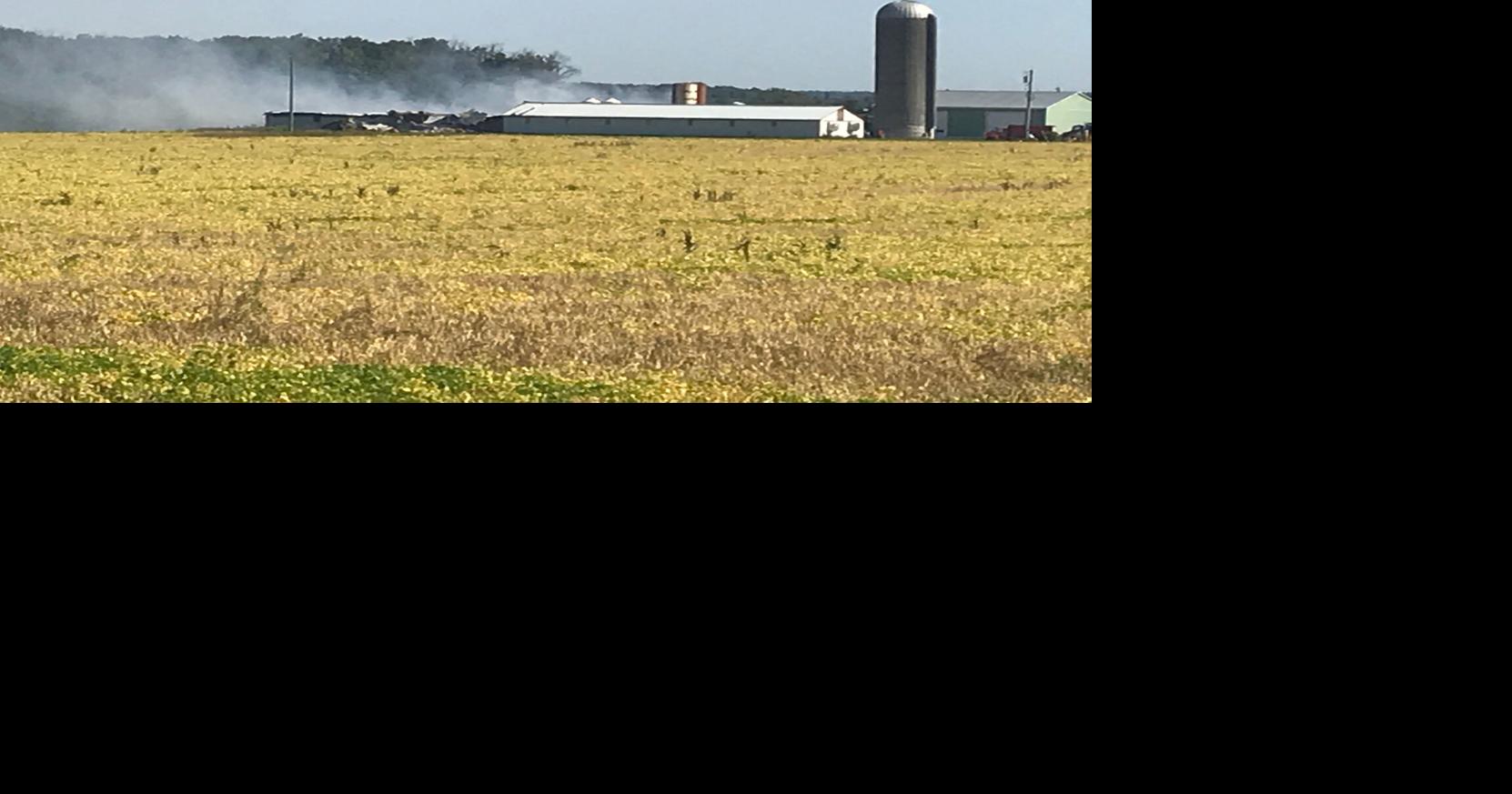 300 animals saved from Tavistock farm fire