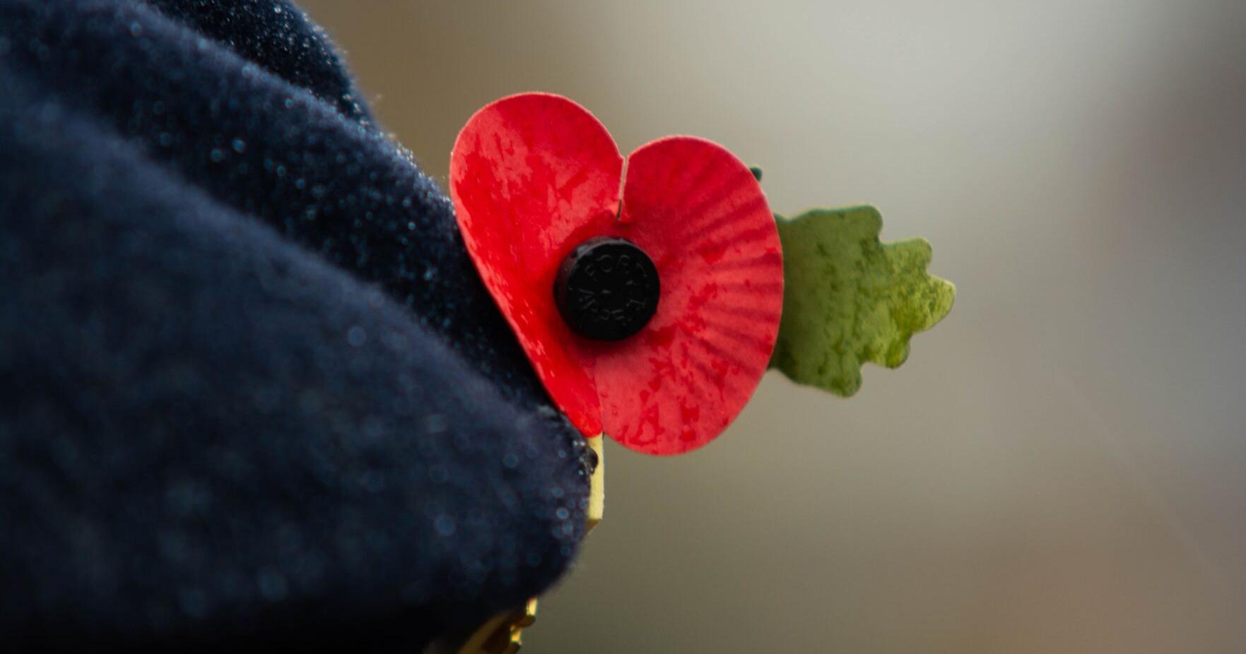 Madison-Florham Park American Legion Auxiliary to sell poppies this weekend - Vimarsana News