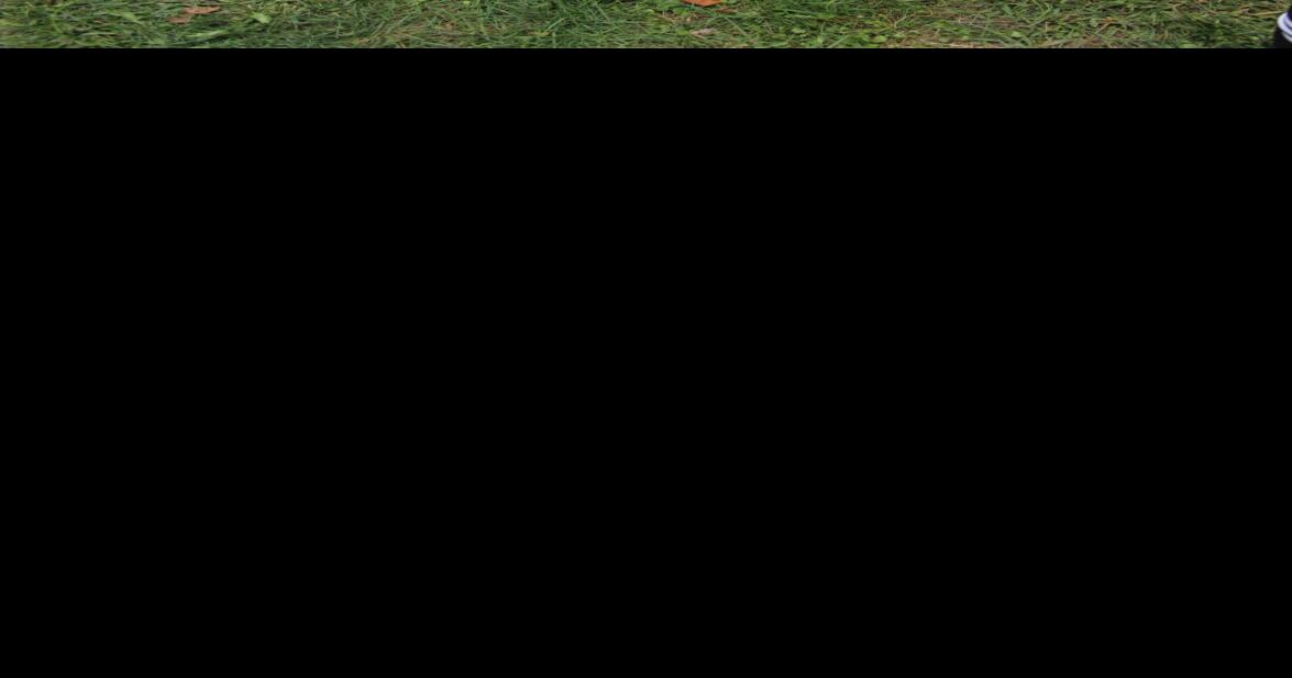 Essex Fells Police Foundation hosts movie night The Progress News