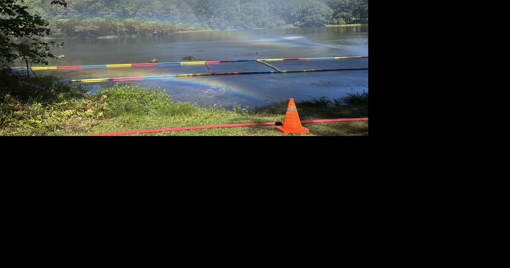Koehler's Pond is next hiking adventure for Washington Township Trails Committee gang