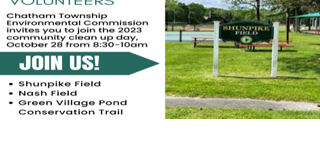 Chatham Township Environmental Commission seeking volunteers for cleanup on Oct. 28 - Vimarsana News