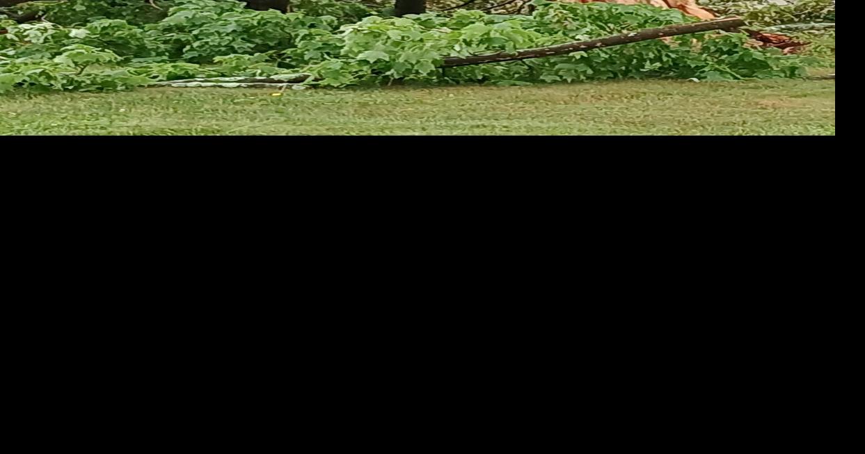 Holiday weekend storm leaves 8,000 without power, $200k in damage to schools in Roxbury