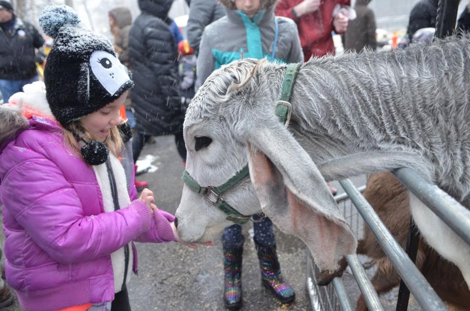 What To Expect From Warren Winter Festival 2018 Echoes Sentinel