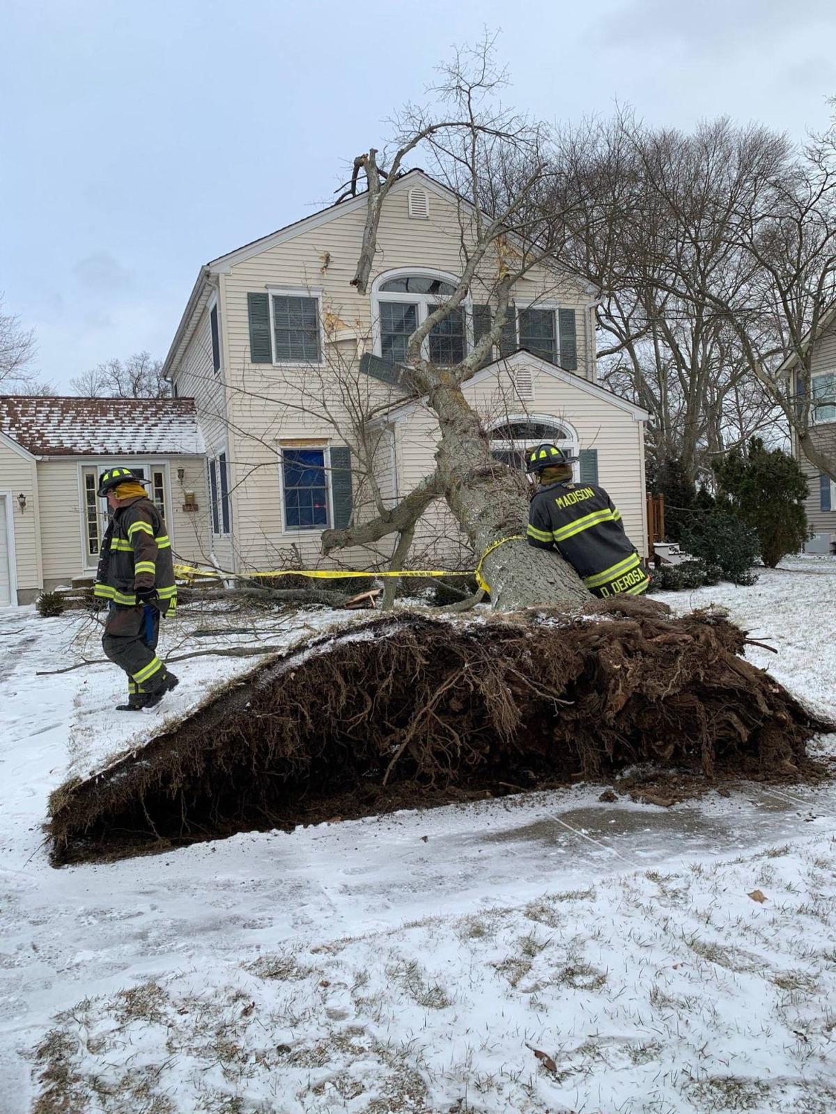 Tree Falls On Madison Home Following Snow Squall Madison Eagle