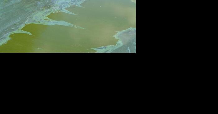 Round Valley swimming closed until further notice due to Harmful Algae Bloom (HAB) - Vimarsana News