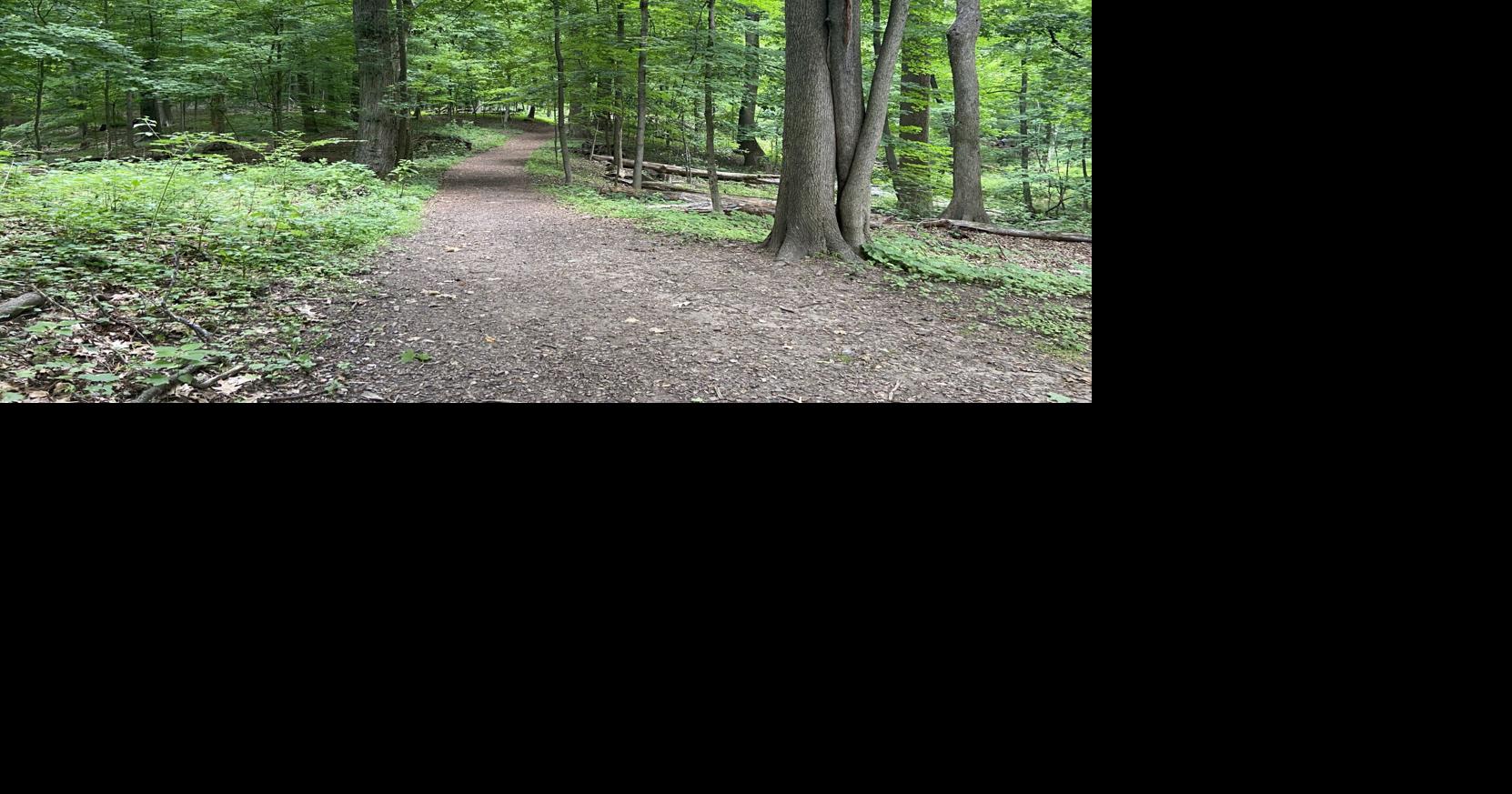 Drew ‘eager’ to accept Madison’s forest offer once it’s binding | News ...