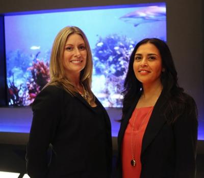 Madison Entrepreneur Survives Tv S Shark Tank Madison Eagle News Newjerseyhills Com