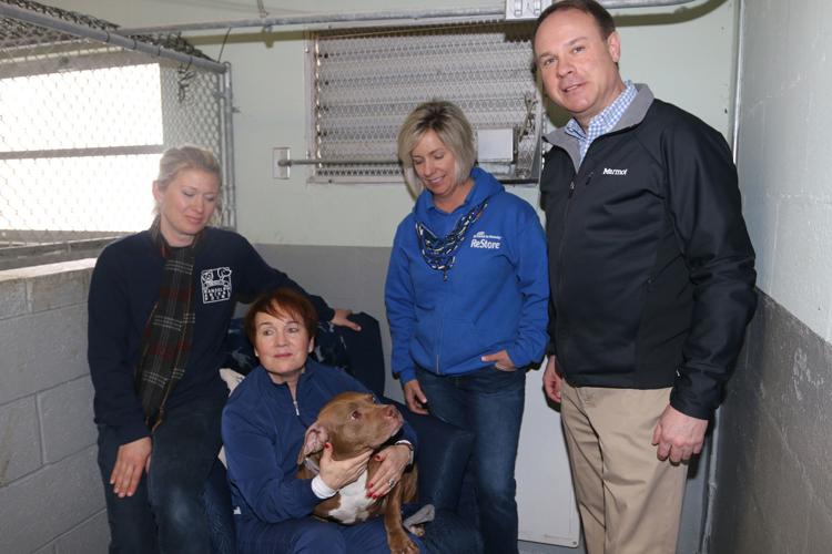 VIDEO) Donated chairs help turn Randolph animal shelter into home | Randolph  Reporter News 