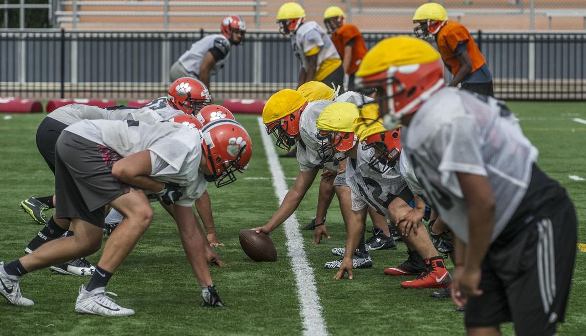 Senior-laden squad at Dover | The Citizen Sports | newjerseyhills.com