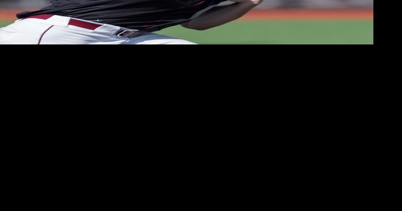 Madison baseball's Doehner, Vaughan earn state awards