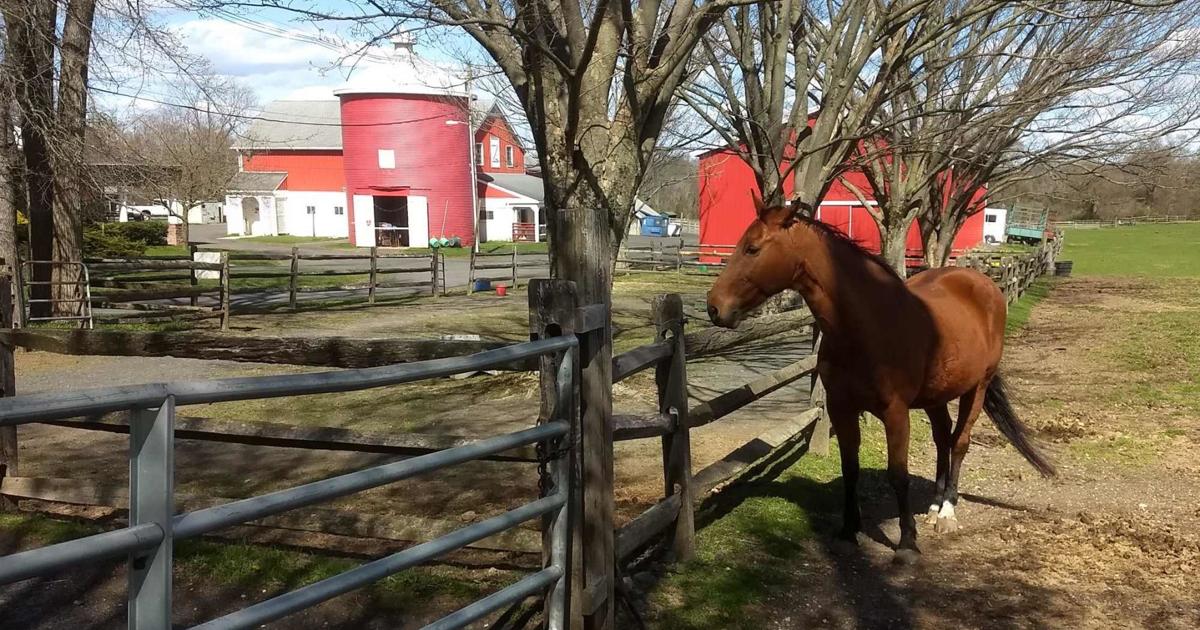 Lord Stirling Stable in Basking Ridge offers trail rides | News ...