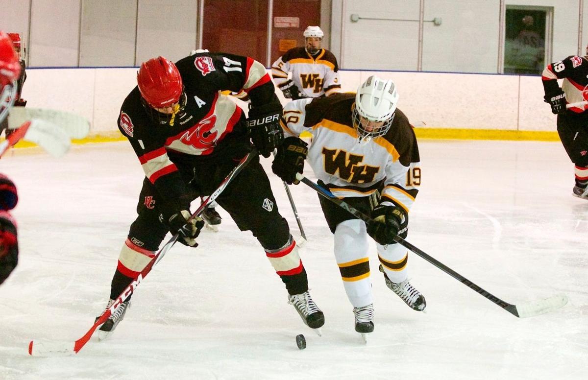 Warriors ice hockey hopes to build on 2015 success ...
