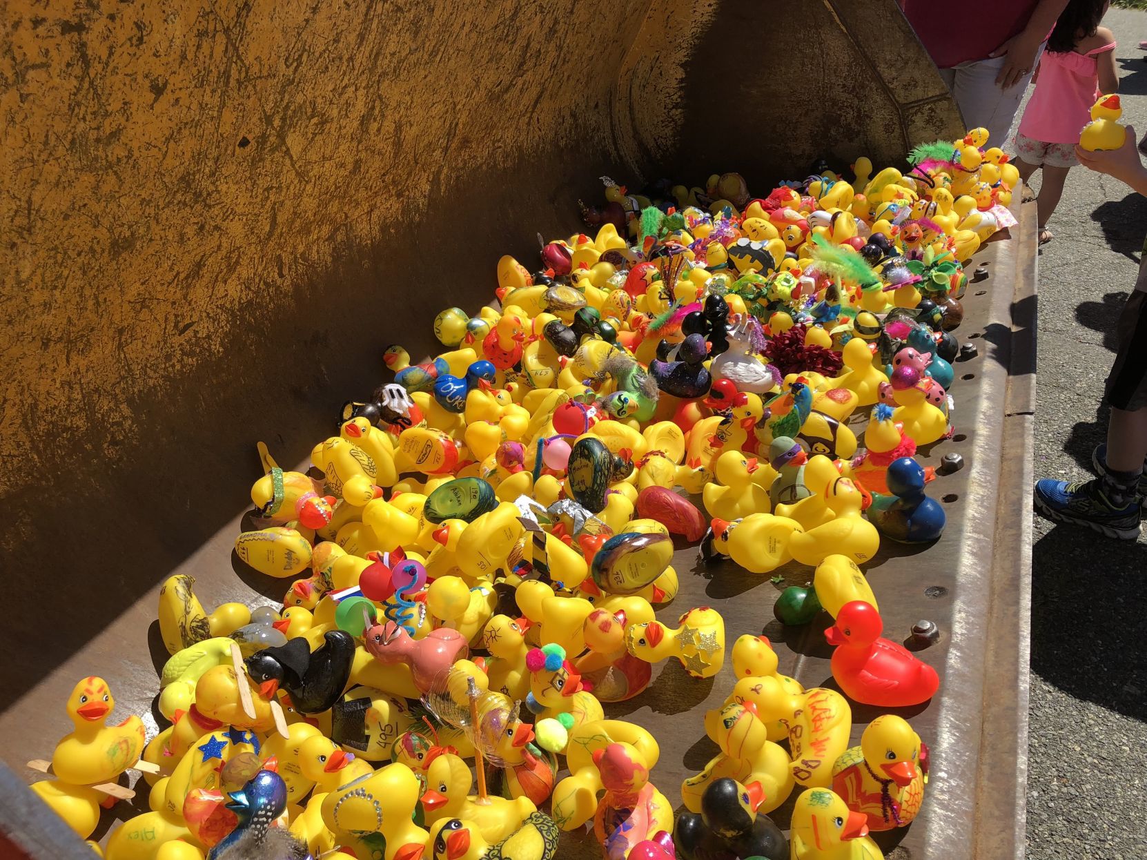 decorated rubber ducks