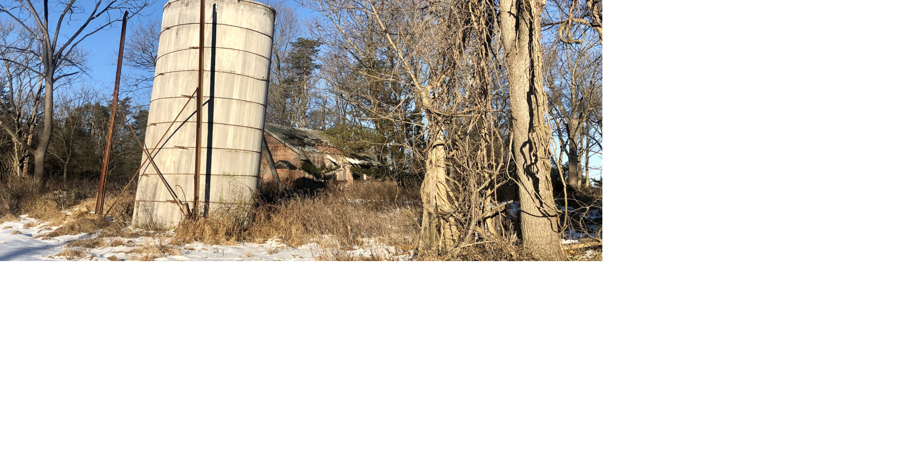 Ness property samplings reveal elevated lead results Echoes Sentinel