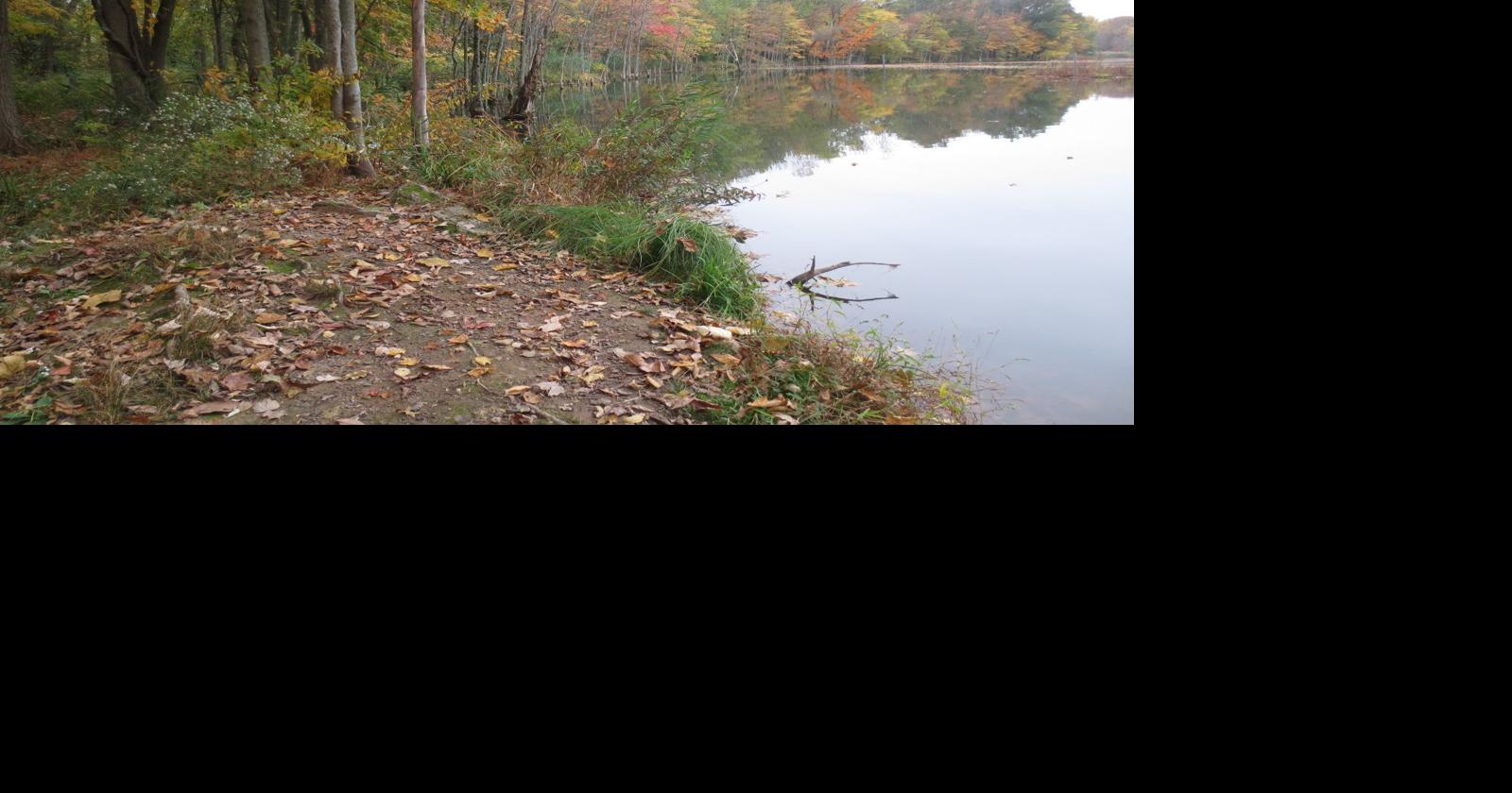 Florham Park accepts state grant for lake management plan OK #39 s $40K