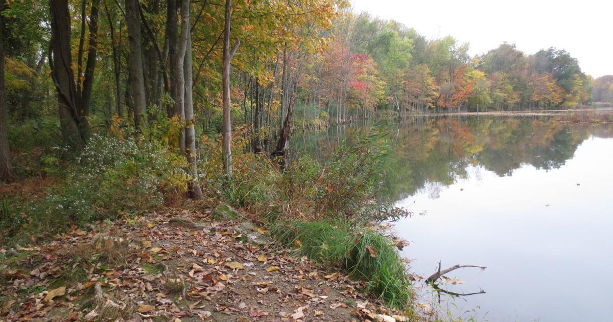 Florham Park accepts state grant for lake management plan OK #39 s $40K Florham Park accepts state grant for lake management plan OK #39 s $40K