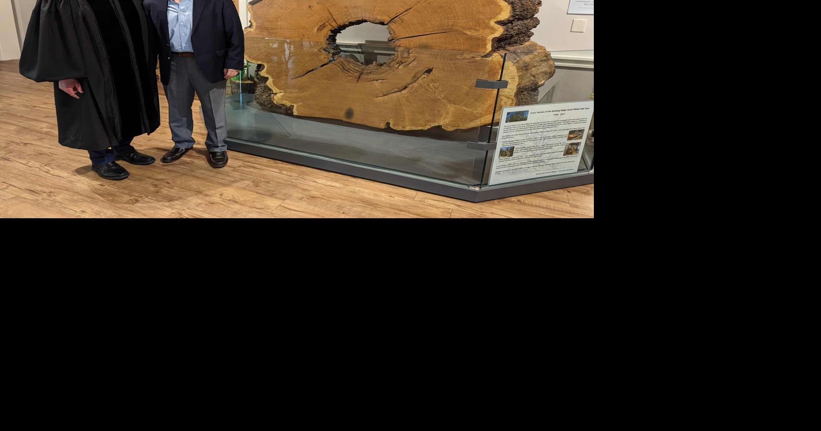 Oak tree exhibit opens on Charter Day in Basking Ridge | Bernardsville ...