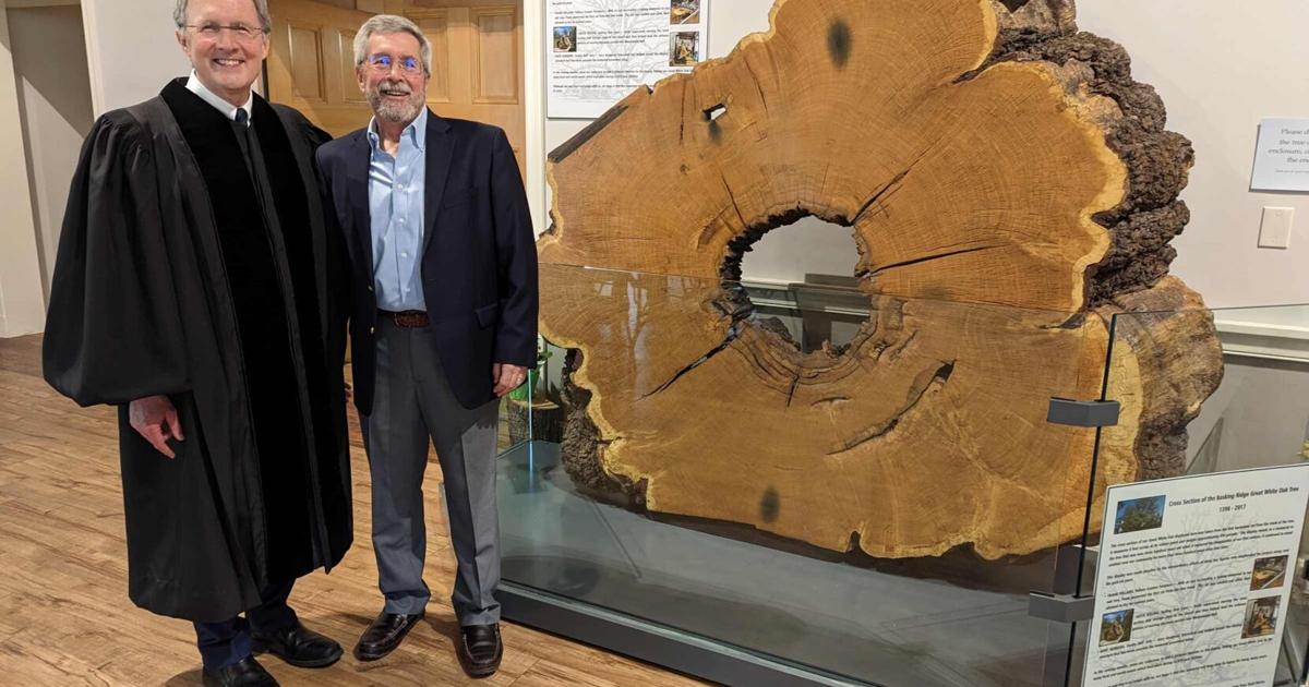Oak tree exhibit opens on Charter Day in Basking Ridge | Bernardsville ...