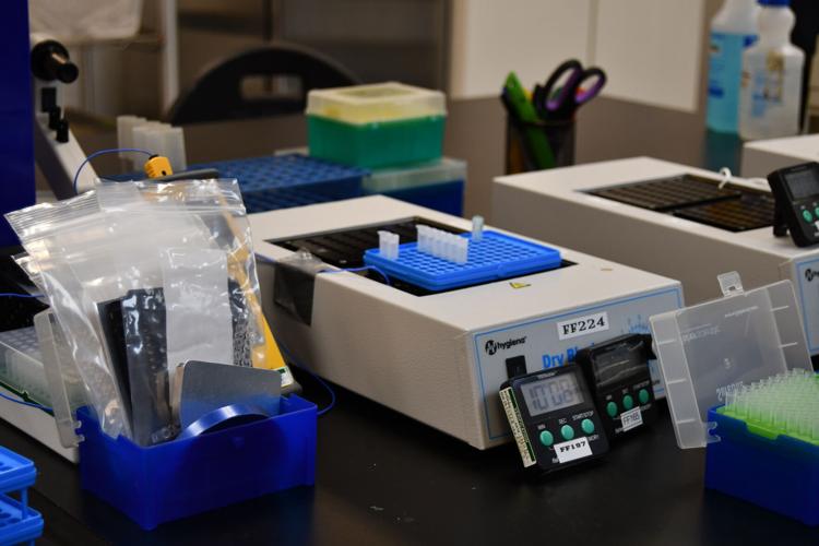 Sgs Food Testing SGS North America expands food testing capacity in Fairfield | News ...