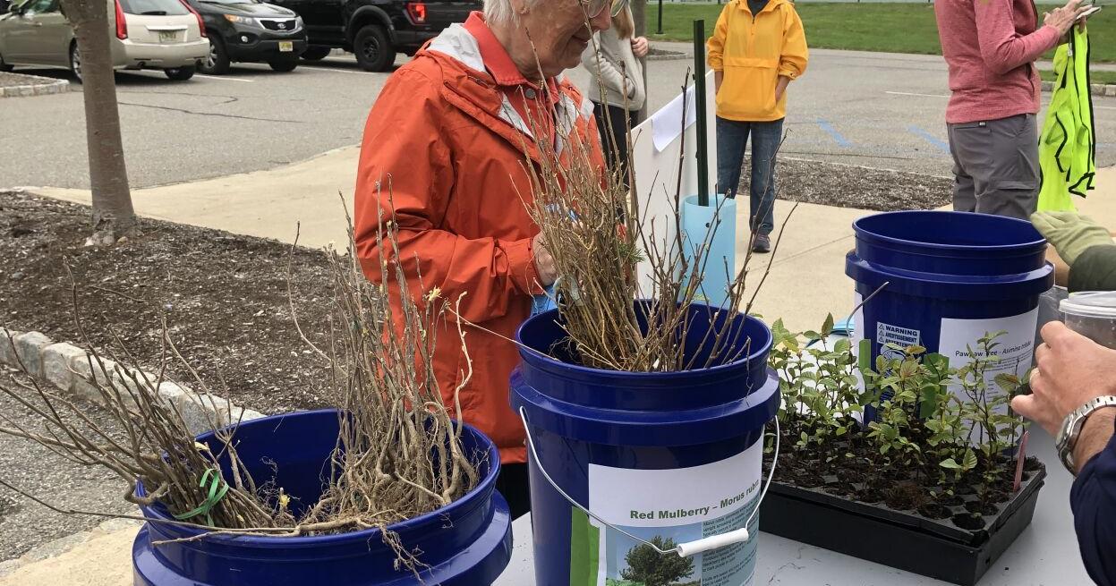 Annual Harding tree giveaway postponed to Saturday, May 11 - Vimarsana News