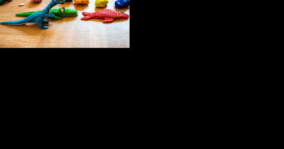 Hunterdon Library fills out late July with activities - Vimarsana News