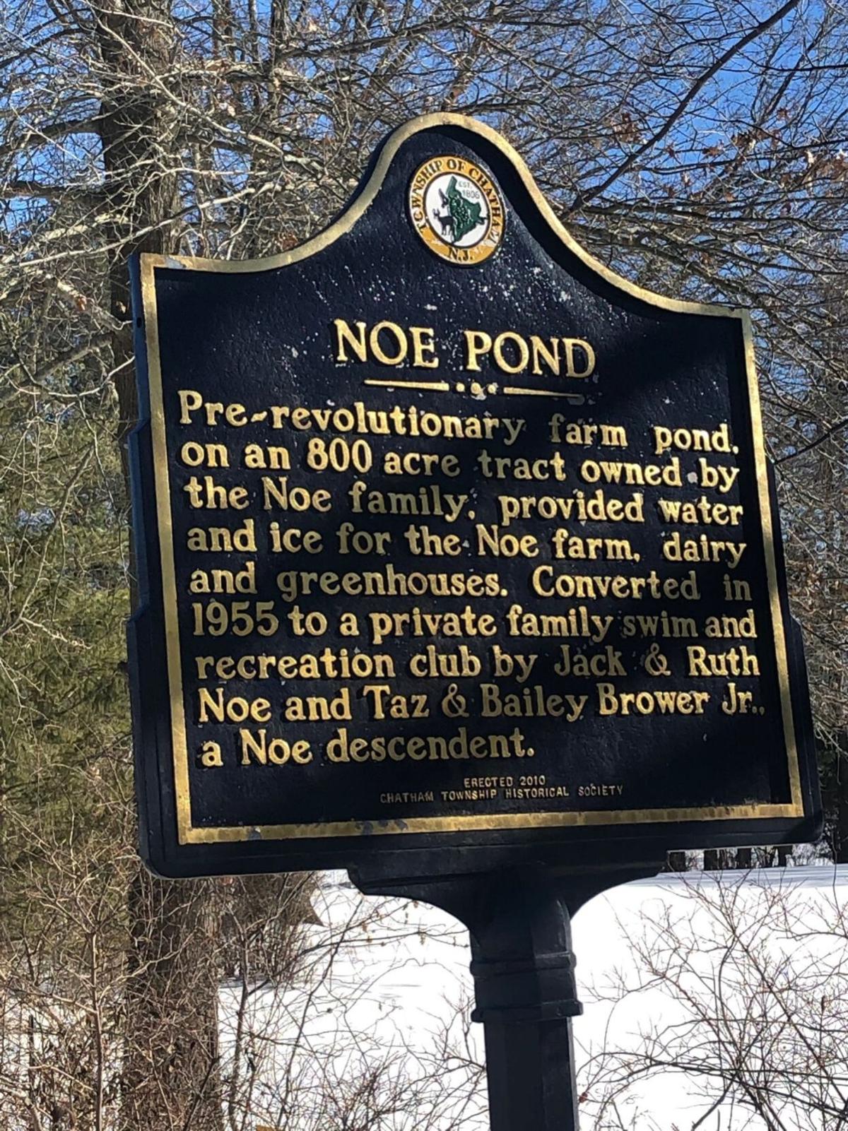 Madison residents back Noe Pond Chatham Courier News