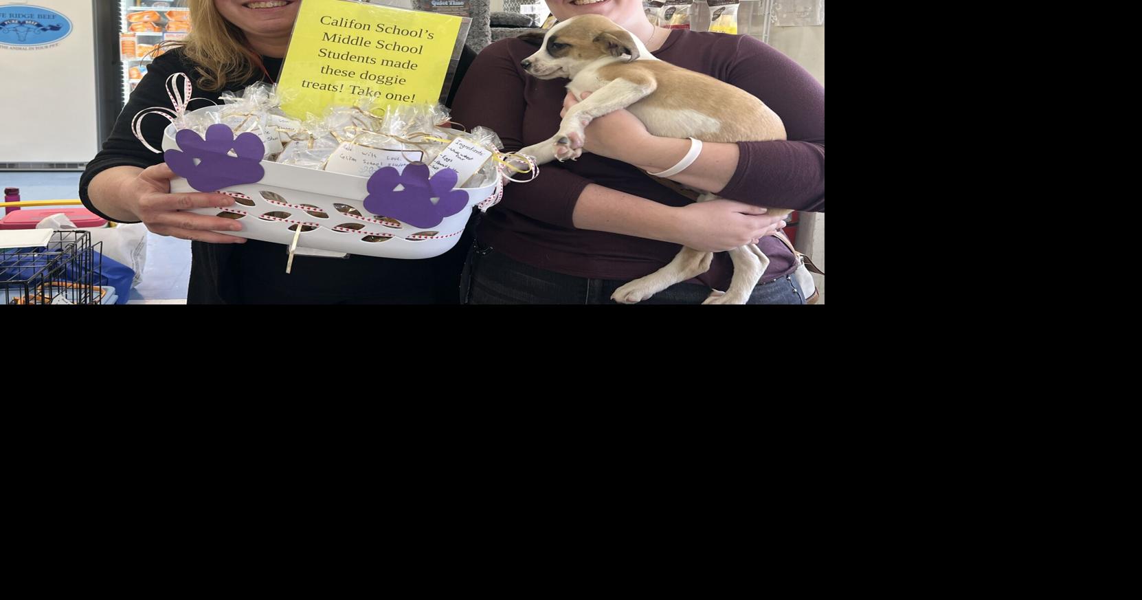 Califon's Pets Pets Pets Holds Adoption Day Hunterdon Review News