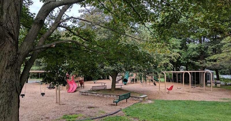 Pioneering female athlete's gift benefits Chester's Grove Street playground