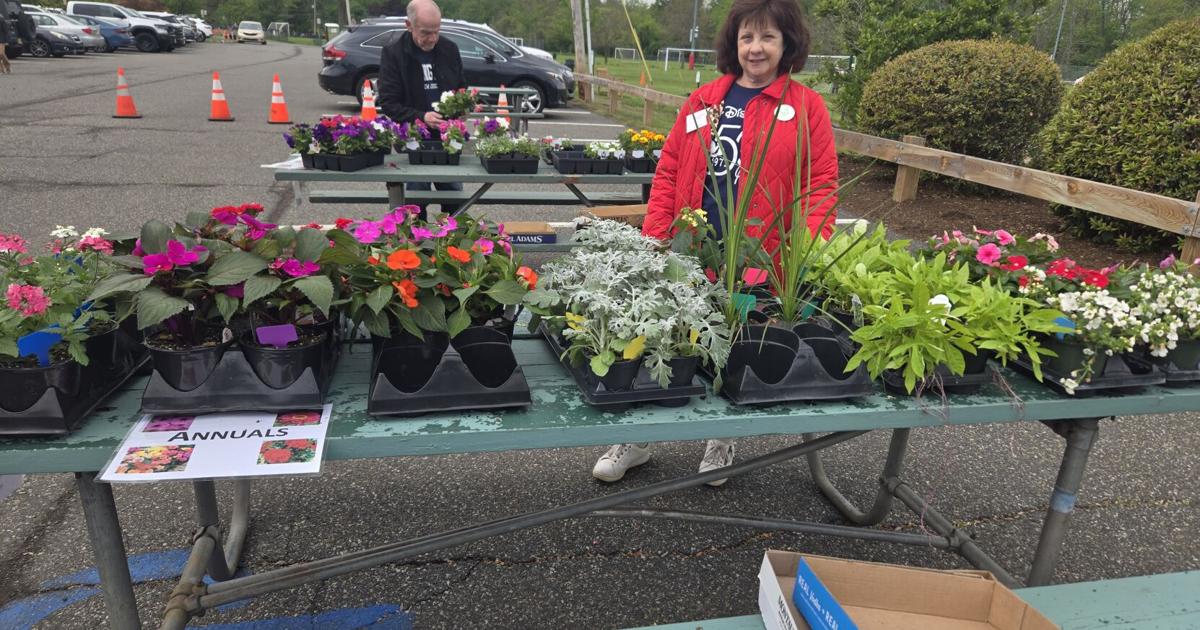 Greens galore at Garden Club of Florham Park's plant sale