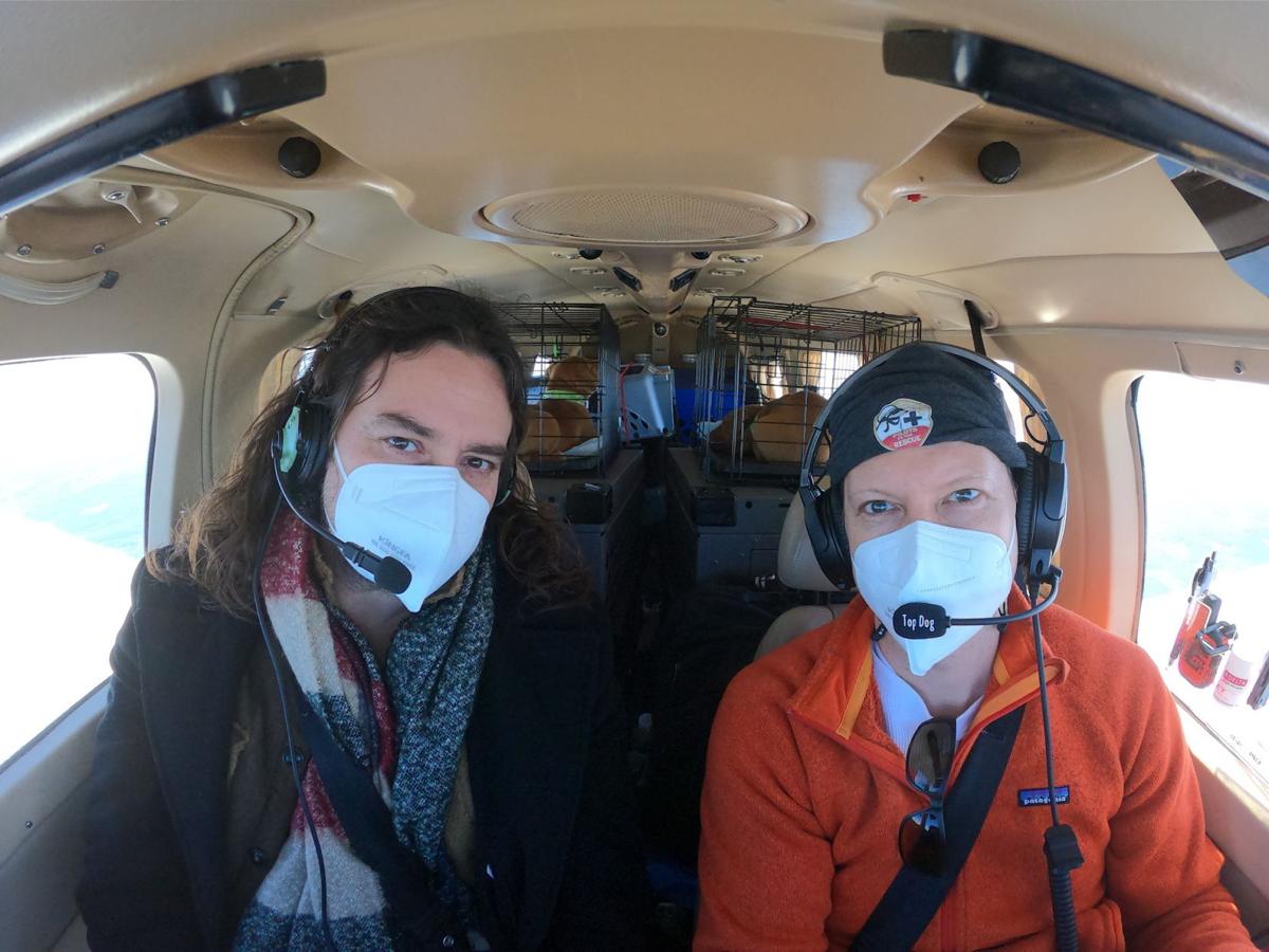 Pilots To The Rescue Helps Save Dogs Who Need Homes The Progress News Newjerseyhills Com Pilots To The Rescue Helps Save Dogs Who Need Homes The Progress News Newjerseyhills Com