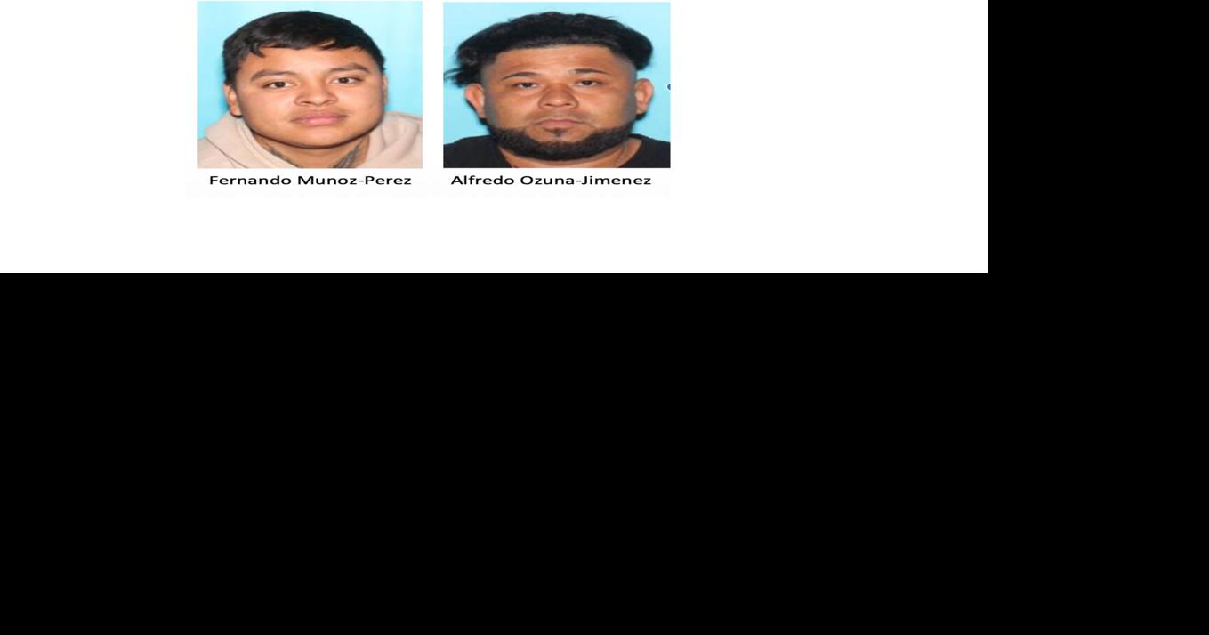 Four charged with drug offenses, child endangerment in Hunterdon County ...