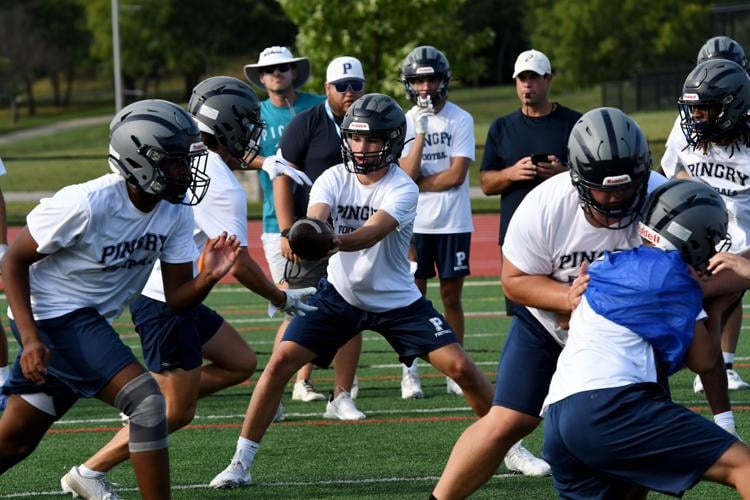 High school football preview: Pingry banking on returning talent ...