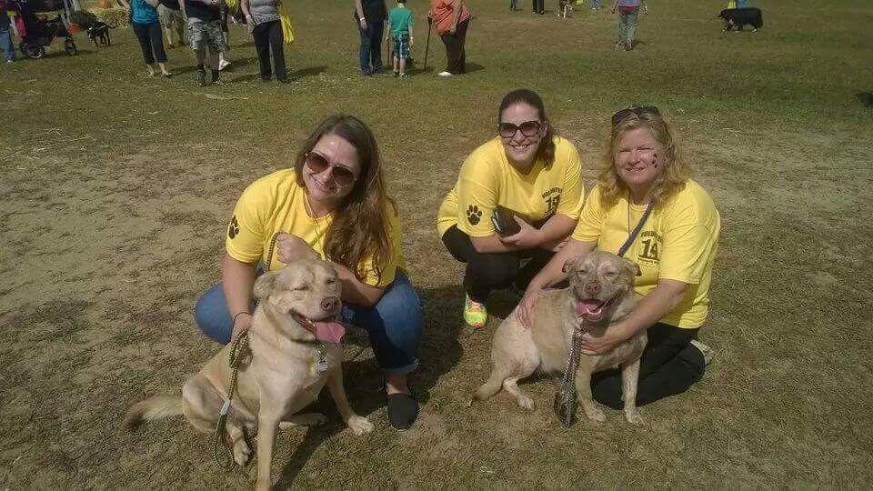 Randolph Dog Rescue Group Needs Help To Pay Those Vet Bills