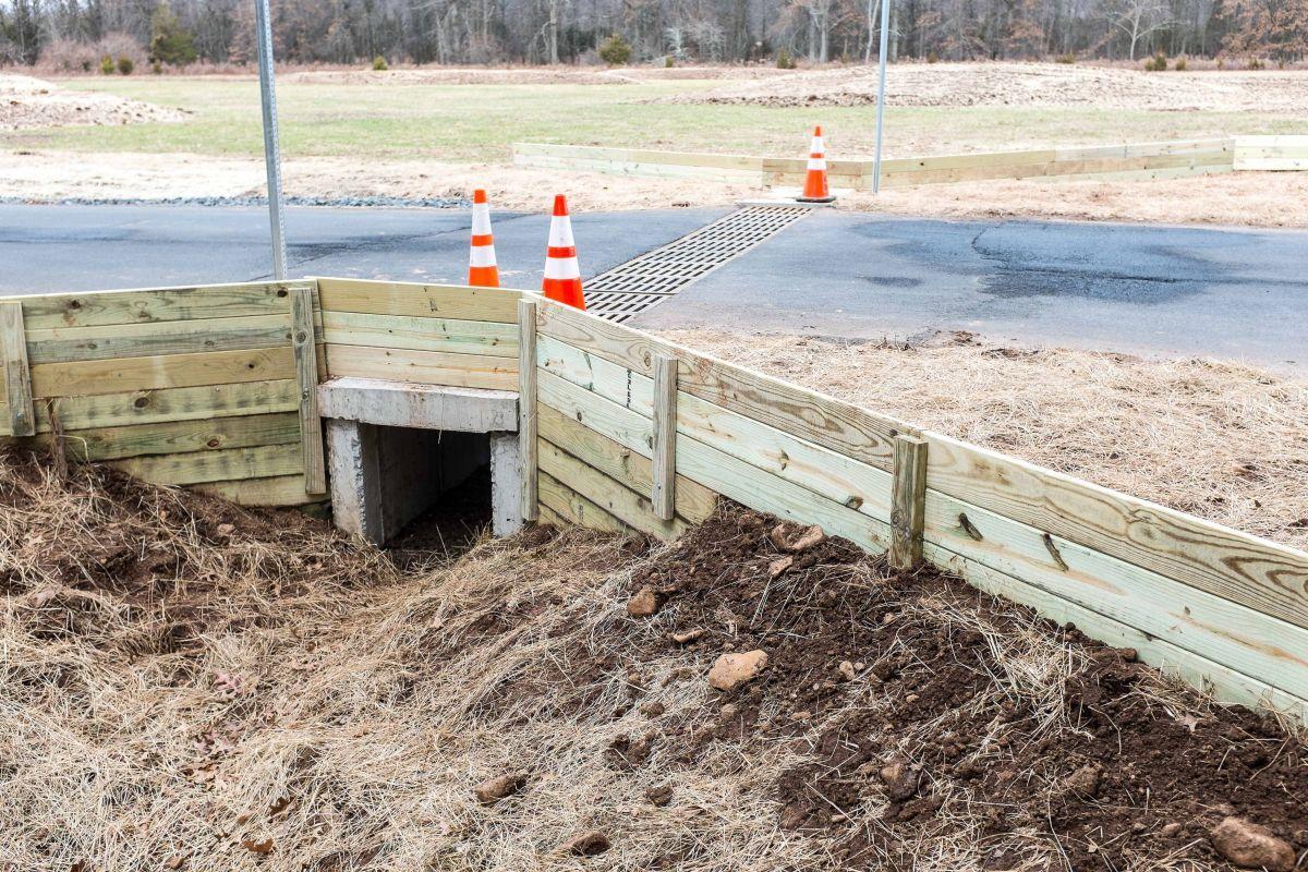 Animals also using 'turtle tunnels' in Bedminster Bernardsville News