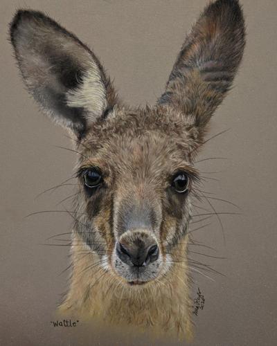 Budd Lake artists draws a kangaroo to help endangered animals | Mount Olive  Chronicle News 