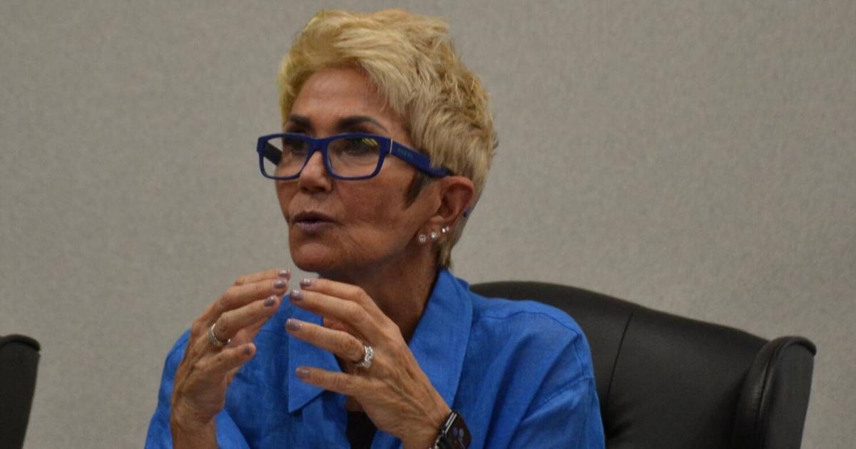 Clinton Council hears about improving energy efficiency
