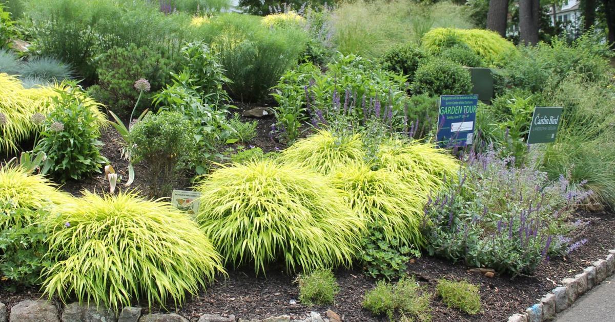 Chatham residents showcase gardens during tour