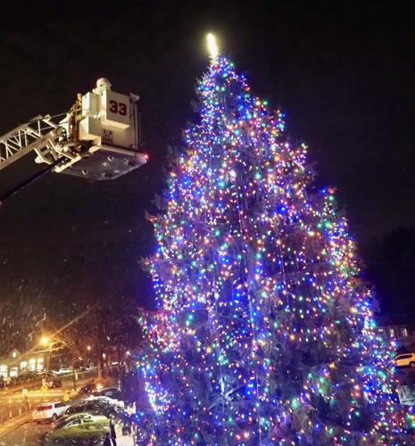 Santa Lights Tree