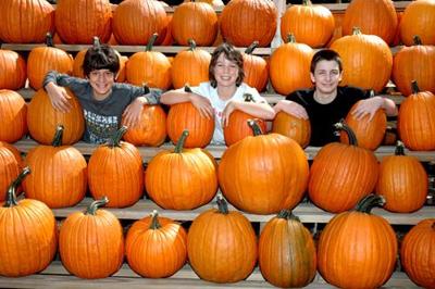 WILL THE REAL 'GREAT PUMPKIN' PLEASE STAND UP? 